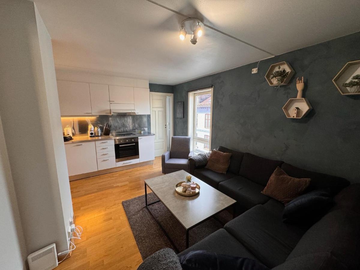 Super Central 3-Bedroom Apartment Όσλο Εξωτερικό φωτογραφία
